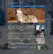 西伯利亚雪橇犬-哈士奇 宠物狗二哈 7页面  带设计说明 JQuery图片轮播特效 htm