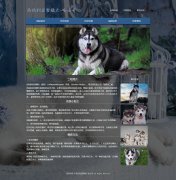 西伯利亚雪橇犬-哈士奇 宠物狗二哈 10页面  带设计说明 JQuery图片轮播特效 ht