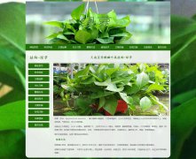 天南星科麒麟叶属植物-绿萝 11页面 植物介绍  带设计说明 JS图片轮播特效 php+mysql数据库 注册登录留言功能 管理员查看搜索修改删除功能（增删查改）