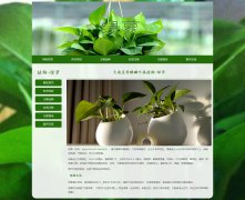 天南星科麒麟叶属植物-绿萝 7页面 植物介绍  带设计说明 JS图片轮播特效  php