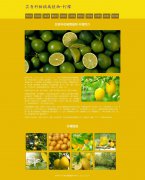 芸香科柑橘属植物-柠檬 11页面 水果 html5+css3布局  带设计说明 JQuery图片轮播特