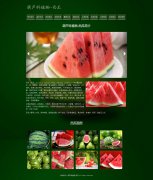 葫芦科植物-西瓜 11页面 水果 html5+css3布局 带设计说明 轮播特效 ASP+ACCESS数据库