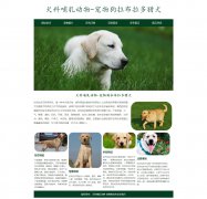 犬科哺乳动物-宠物狗拉布拉多猎犬 6页面 HTML5 动物宠物主题 带设计说明  ASP+