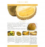水果之王-榴莲 7页面 植物水果主题 HTML5 带设计说明  ASP+ACCESS数据库 注册登录留