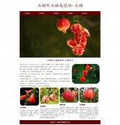 石榴科石榴属植物-石榴 7页面 植物水果主题 HTML5 带设计说明  ASP+ACCESS数据库