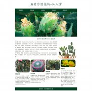 石竹沙漠植物-仙人掌 7页面 植物水果主题 HTML5 带设计说明 ASP+ACCESS数据库 注册