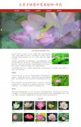 毛茛目睡莲科莲属植物-荷花  5页面 科普主题 HTML5 带jquery轮播特效 ASP+ACCESS数据库 注册登录留言功能 搜索修改删除留言功能（增删查改）