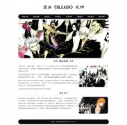 漫画《BLEACH》死神 8页面 动漫漫画主题 HTML5+CSS3 带设计说明  ASP+ACCESS数据库 注