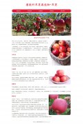 蔷薇科苹果属植物-苹果  5页面 HTML5+CSS3 带设计说明  ASP+ACCESS数据库 注册登录留