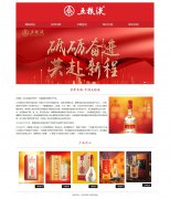 世界名酒-中国五粮液 5页面 四川宜宾特产 白酒食品品牌 HTML5  带设计说明 JS图