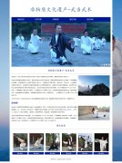 非物质文化遗产-武当武术 5页面  武术流派 HTML5 带JS轮播特效 ASP+ACCESS数据库 注