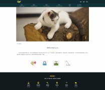 CAT 宠物猫猫 14页面 猫舍 猫站 猫商店 带设计说明 PSD JS轮播特效 ASP+ACCESS数据库