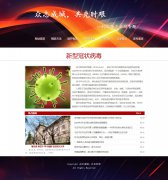 众志成城，共克时艰 8页面 抗击肺炎疫情热点新闻专题 带 JS轮播特效 ASP+ACCESS数据库 注册登录留言功能 搜索修改删除留言功能（增删查改）