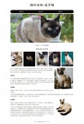 猫科动物-暹罗猫 3页面 泰国短毛猫 宠物猫 HTML5+CSS3布局 带设计说明 动态php+m