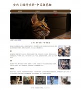 食肉目猫科动物-中国狸花猫 3页面 自然猫 宠物猫 HTML5+CSS3布局 带设计说明 动态