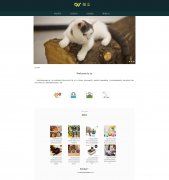 CAT猫店 宠物猫猫 带设计说明 JS轮播特效 ASP+ACCESS数据库 注册登录留言功能 后台管理 查看注册用户信息 搜索旅留言修改删除留言功能（增删查改）