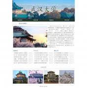 武汉大学 5页面 学校介绍 HTML5+CSS3布局 带设计说明 JS轮播特效 滚动文字 asp+access数据库注册登录留言功能