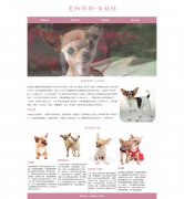 宠物狗狗-吉娃娃 5页面 HTML5 动物宠物主题 带设计说明 JQuery图片轮播特效 asp+