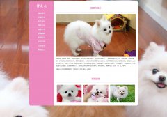 博美犬 16页面 宠物狗狗 HTML5带设计说明 轮播特效 图片点击放大特效 JS表单验证