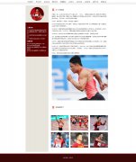 苏炳添 15页面 人物介绍 中国男子短跑运动员  HTML5+CSS3布局 带设计说明  ASP+access数据库 注册登录留言功能 用户权限管理 管理员 用户管理 留言管理 搜索查看修改删除功能（增删查改）