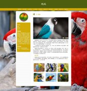 鹦鹉 15页面 Parrot 濒危物种 宠物 鸟类科普 HTML5 带设计说明 JS图片轮播特效  ASP+access数据库 注册登录留言功能 用户权限管理 管理员 用户管理 留言管理 搜索查看修改删除功能（增删查改）
