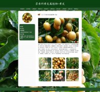 芸香科黄皮属植物-黄皮 15页面 南方常见水果 HTML5 带设计说明 JS轮播特效  ASP
