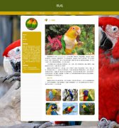 鹦鹉 10页面 Parrot 濒危物种 宠物 鸟类科普 HTML5 带设计说明 JS图片轮播特效 AS