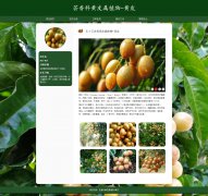 芸香科黄皮属植物-黄皮 10页面 南方常见水果 HTML5 带设计说明 JS图片轮播特效