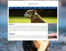 狗狗百科网 18页 狗狗宠物 HTML5  带设计说明 在线视频  ASP+ACCESS数据库 注册登录
