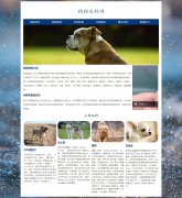 狗狗百科网 14页面 狗狗宠物介绍 HTML5 带设计说明 在线视频 ASP+ACCESS数据库 注册