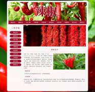辣椒 19页 菜椒 灯笼椒介绍 HTML5 带设计说明 JS图片轮播特效  ASP+ACCESS数据库 注册登录留言 用户权限管理 admin管理员 新闻发布 新闻管理 用户管理 留言管理 搜索查看修改删除功能(增删查改)