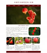 石榴科石榴属植物-石榴 9页面 植物水果  HTML5 带设计说明  ASP+ACCESS数据库 注册登录留言功能 搜索修改删除留言功能（增删查改）