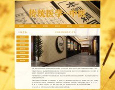 传统医学-中医 7页面 汉医 HTML5  带设计说明 JS图片轮播特效 asp+access数据库 注册