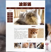 波斯猫 7页面 宠物动物 长毛猫 HTML5  带设计说明 背景音乐 JS图片轮播特效 滚动