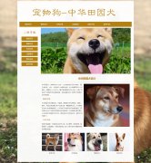 宠物狗-中华田园犬 6页面 宠物动物 土狗 柴狗 HTML5 带设计说明 背景音乐 JS图片