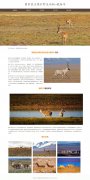 国家重点保护野生动物-藏羚羊 5页面 濒危物种 带设计说明 jquery图片轮播特效