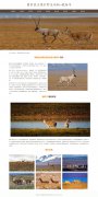 国家重点保护野生动物-藏羚羊 9页面 濒危物种 带设计说明 jquery图片轮播特效