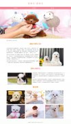 宠物犬-茶杯犬 单页面 犬科哺乳动物 世界上最小的犬种 宠物狗狗 带设计说明 jquery图片轮播特效 