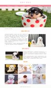 宠物犬-茶杯犬 5页面 犬科哺乳动物 世界上最小的犬种 宠物狗狗 带设计说明 jquery图片轮播特效 