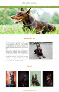 哺乳动物-杜宾犬 9页面 犬科 笃宾犬 宠物狗狗 带设计说明 jquery图片轮播特效