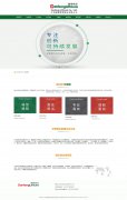 江西赣锋锂业集团股份有限公司  15页面 新能源锂矿企业  带设计说明 图片轮播