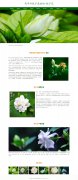 茜草科栀子属植物-栀子花 9页面 灌木植物 鲜花花卉 带设计说明 jquery图片轮播特效 注册登录留言表单 JS表单验证