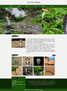 爬行动物-眼镜蛇 6页面 带设计说明  animate CSS3 动画 jquery图片轮播特效 留言表单 表单验证