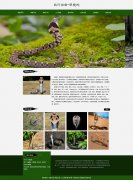 爬行动物-眼镜蛇 12页面 带设计说明  animate CSS3 动画 jquery图片轮播特效 注册登
