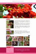蔷薇科乔木植物-海棠花 单页面 植物花卉 鲜花科普 带 设计说明 animate CSS3 动画 jquery图片轮播特效