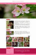 蔷薇科乔木植物-海棠花 12页面 植物花卉 鲜花科普 带设计说明  animate CSS3 动画