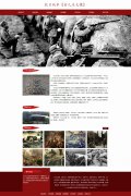 抗日战争《台儿庄大捷》 19页面 台儿庄战役 军事战争科普 带设计说明  jquery图片轮播特效 注册登录留言表单