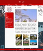 苏州大学 6页 苏大 国家“双一流”建设高校 学校主题 HTML5 带设计说明 JS轮播特