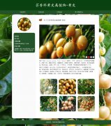芸香科黄皮属植物-黄皮 6页面 南方常见水果 HTML5 带设计说明 JS轮播特效  ASP+ACCESS数据库 注册登录功能 用户权限管理 admin管理员修改用户信息功能