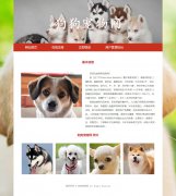 狗狗宠物网 6页面 宠物介绍主题 带设计说明   ASP+ACCESS数据库 注册登录功能 用